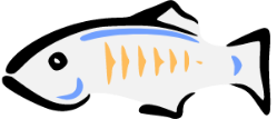 Glassfish